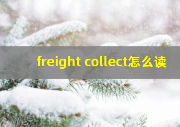 freight collect怎么读